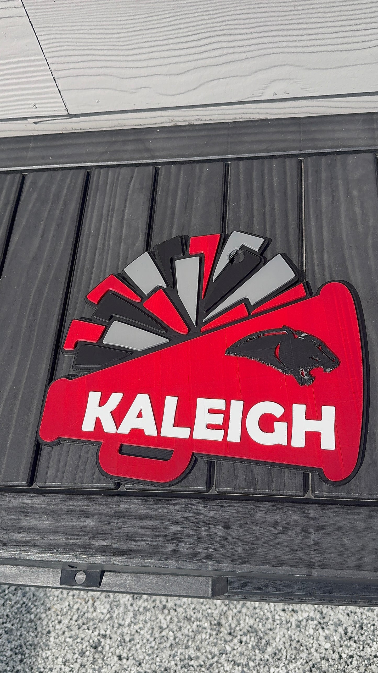 Custom 3D-Printed Sports Name Sign